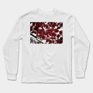 Crimson Foliage Long Sleeve T-Shirt